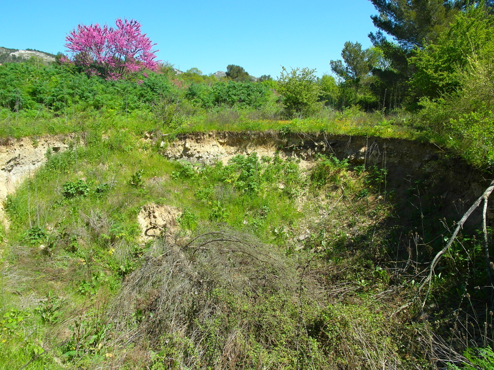 Alllauch Dissolution Gypse 1000PX