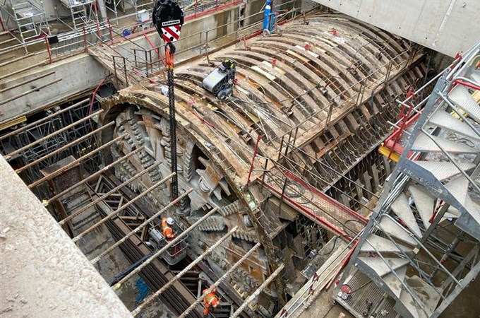 SGP Tunnelierflorence